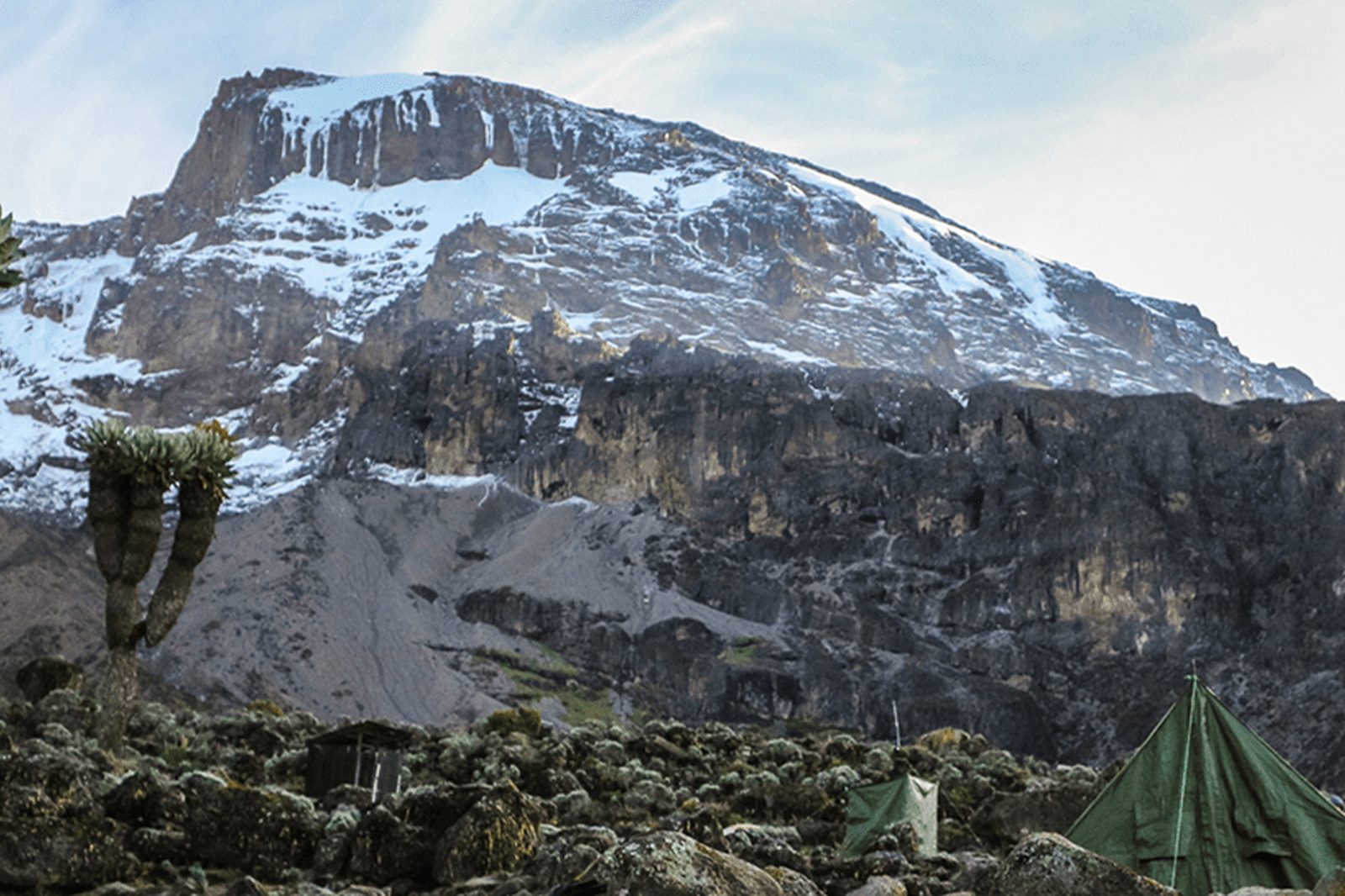 Mti Mkubwa → Shira Plateau Camp 1