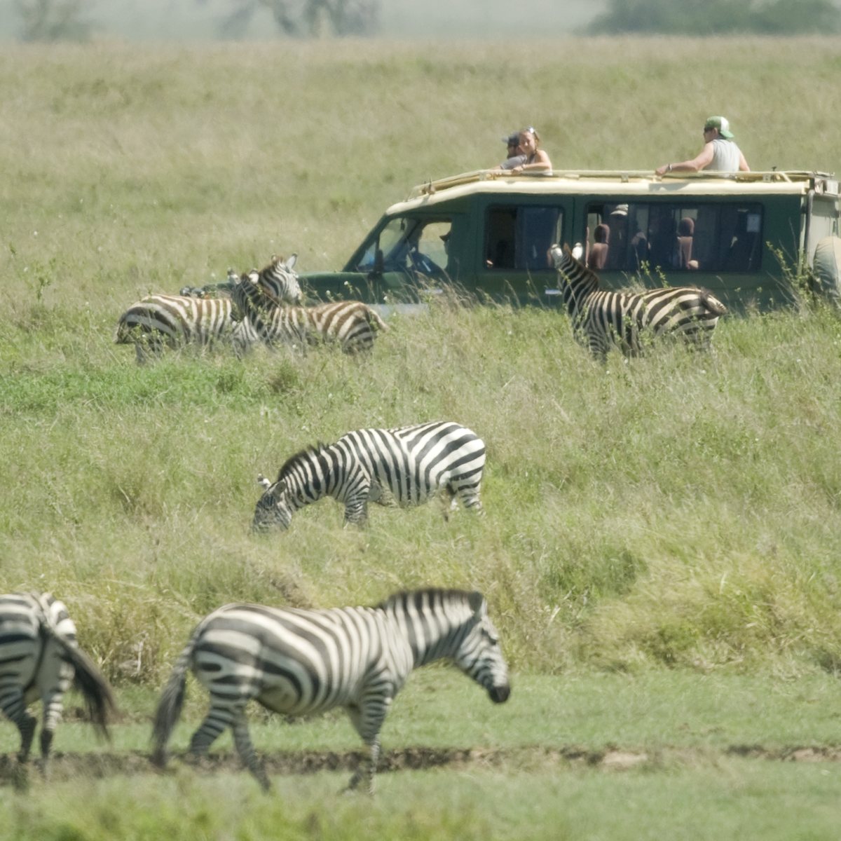 Massai-Dorf & Einfahrt in die Serengeti