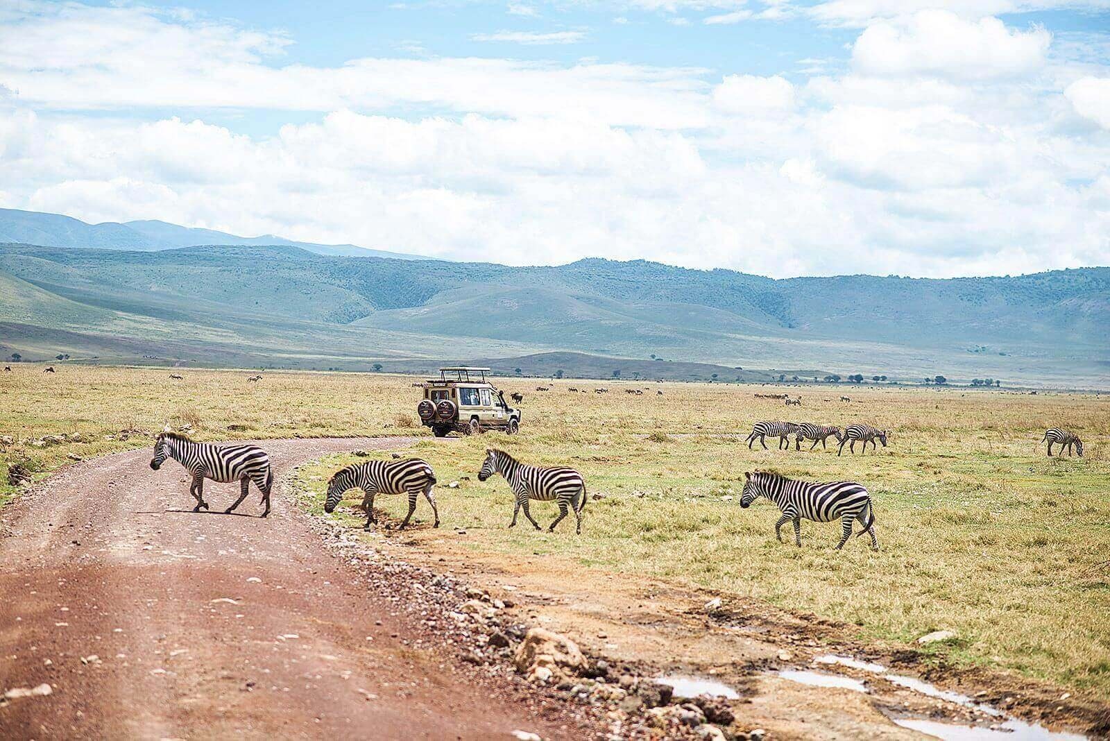 NGORONGORO, KULTUR & ABSCHLUSS