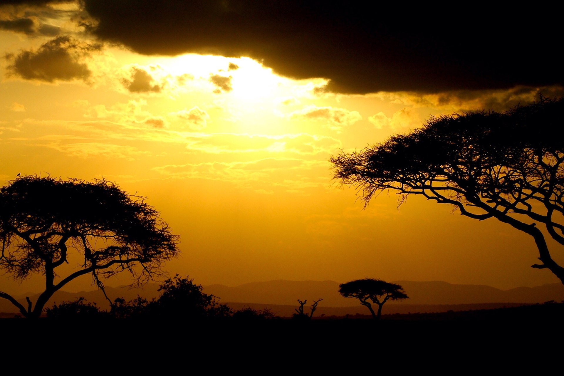 Amboseli – Ziwani Conservancy