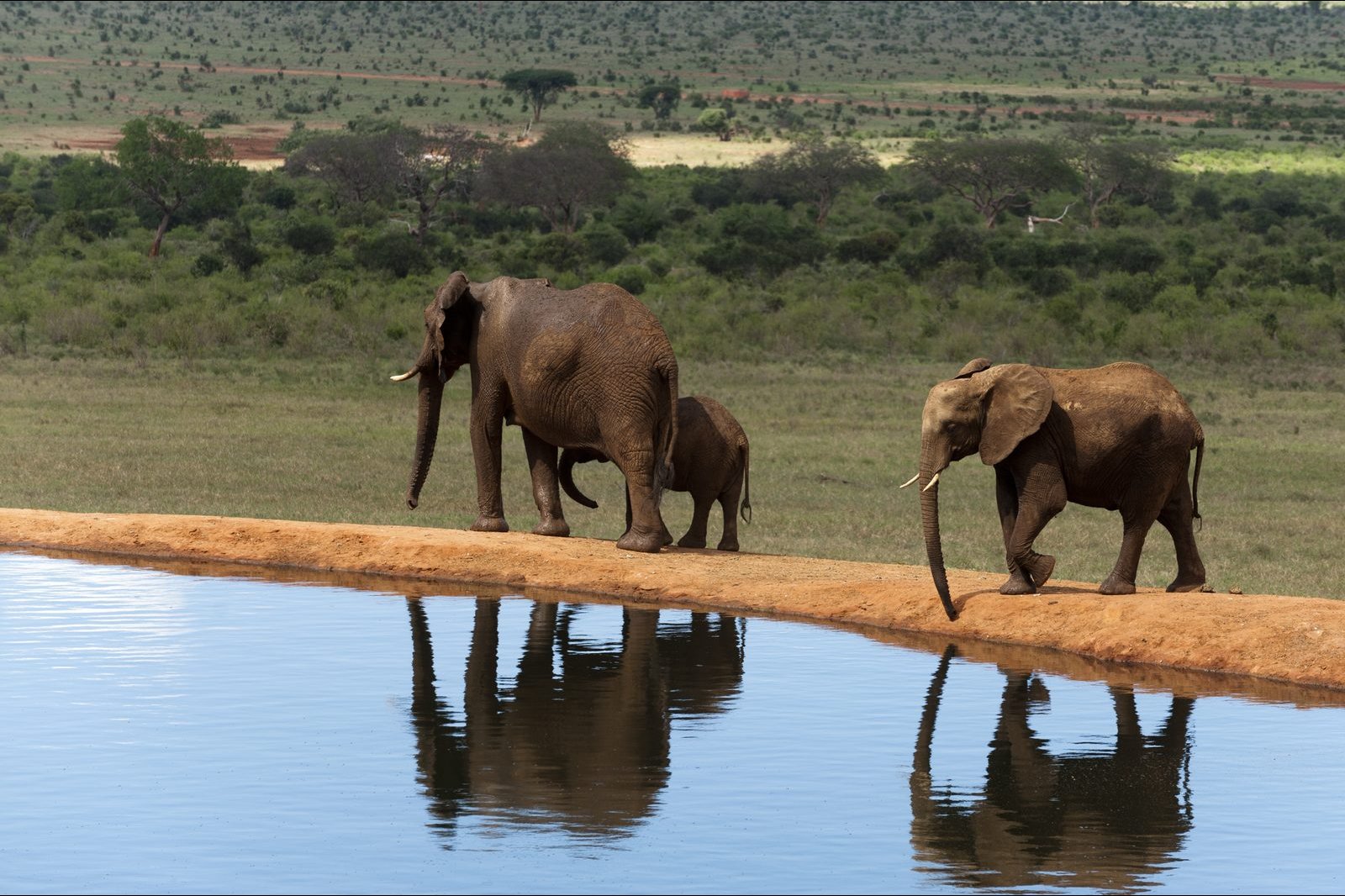 Tsavo Ost Nationalpark – Manyatta Camp