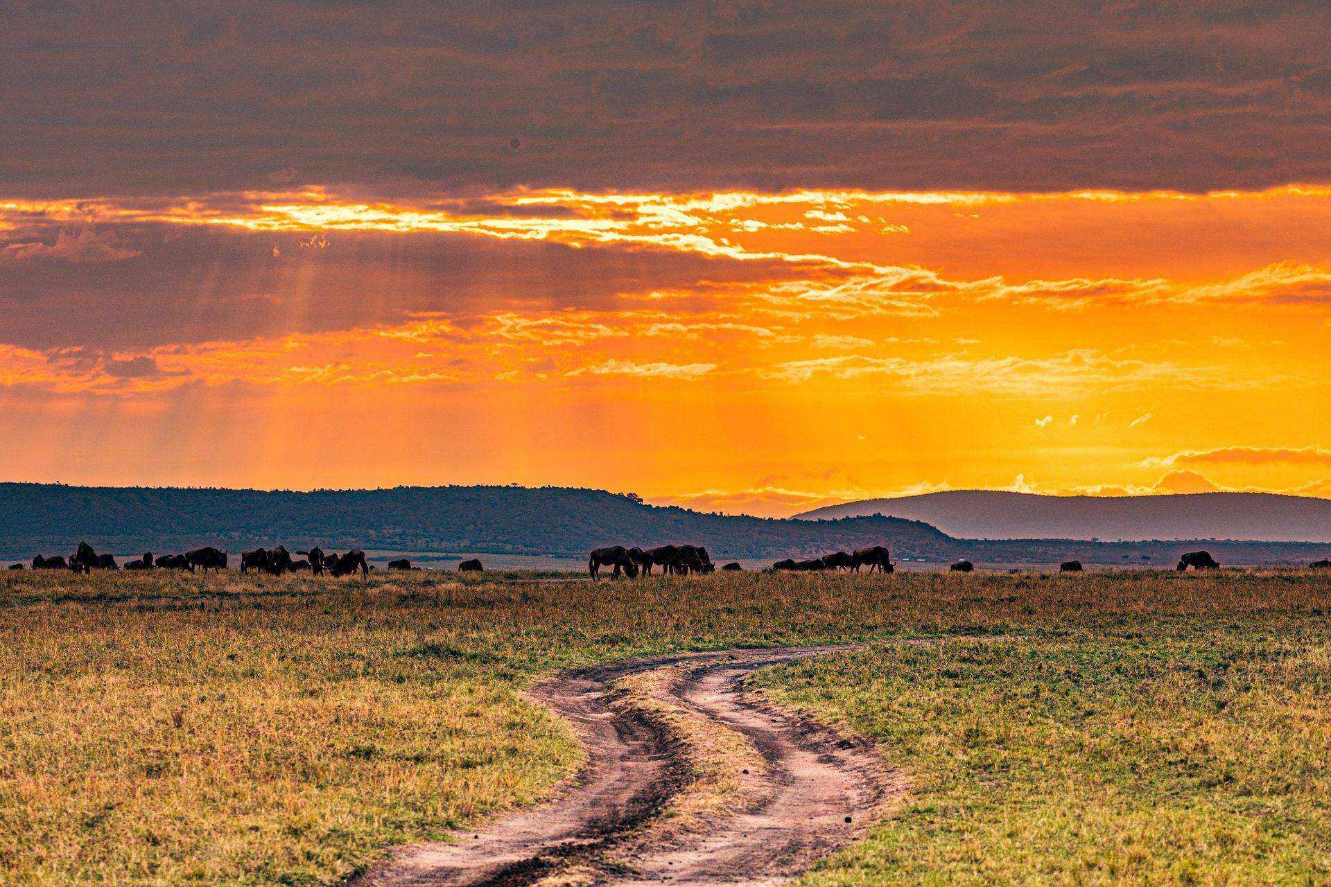 TAITA HILLS & ABREISE