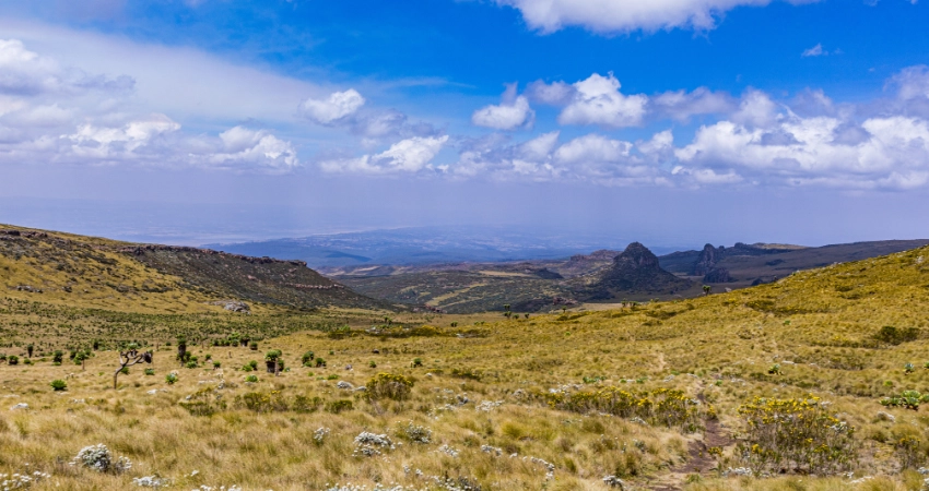 Kilimandscharo Nordseite – weites, trockenes Hochland der einzigen Nordroute Rongai