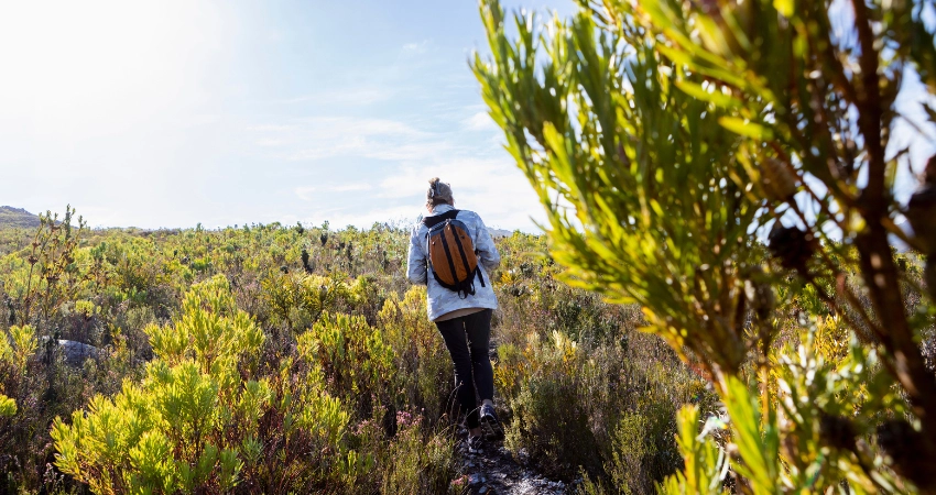 Einsamkeit auf der Rongai Route – Trekker im stillen Moorland der Nordseite