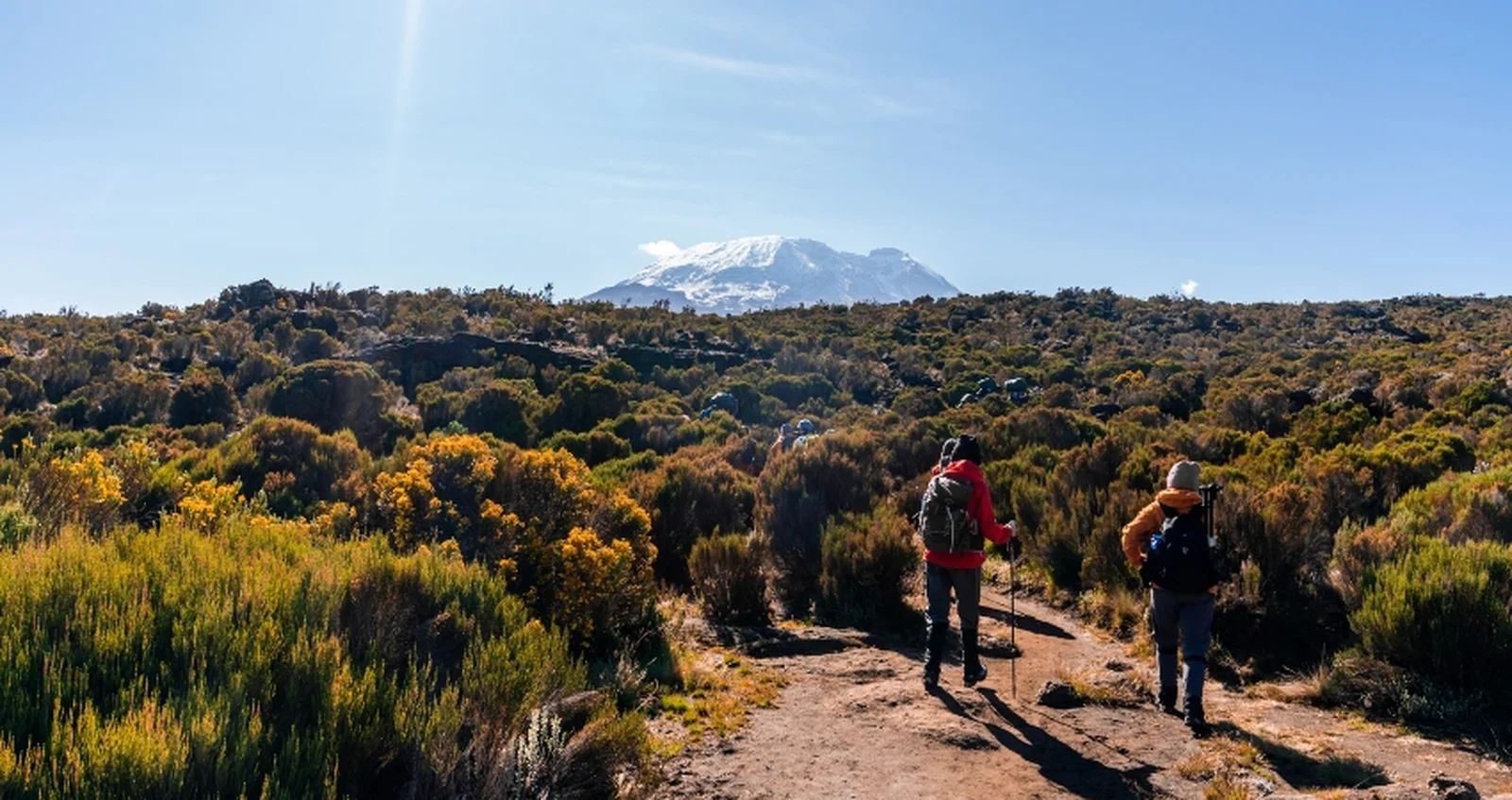 Zwei Trekker auf dem Moorland-Pfad der Marangu Route mit Kibo-Gipfel im Hintergrund