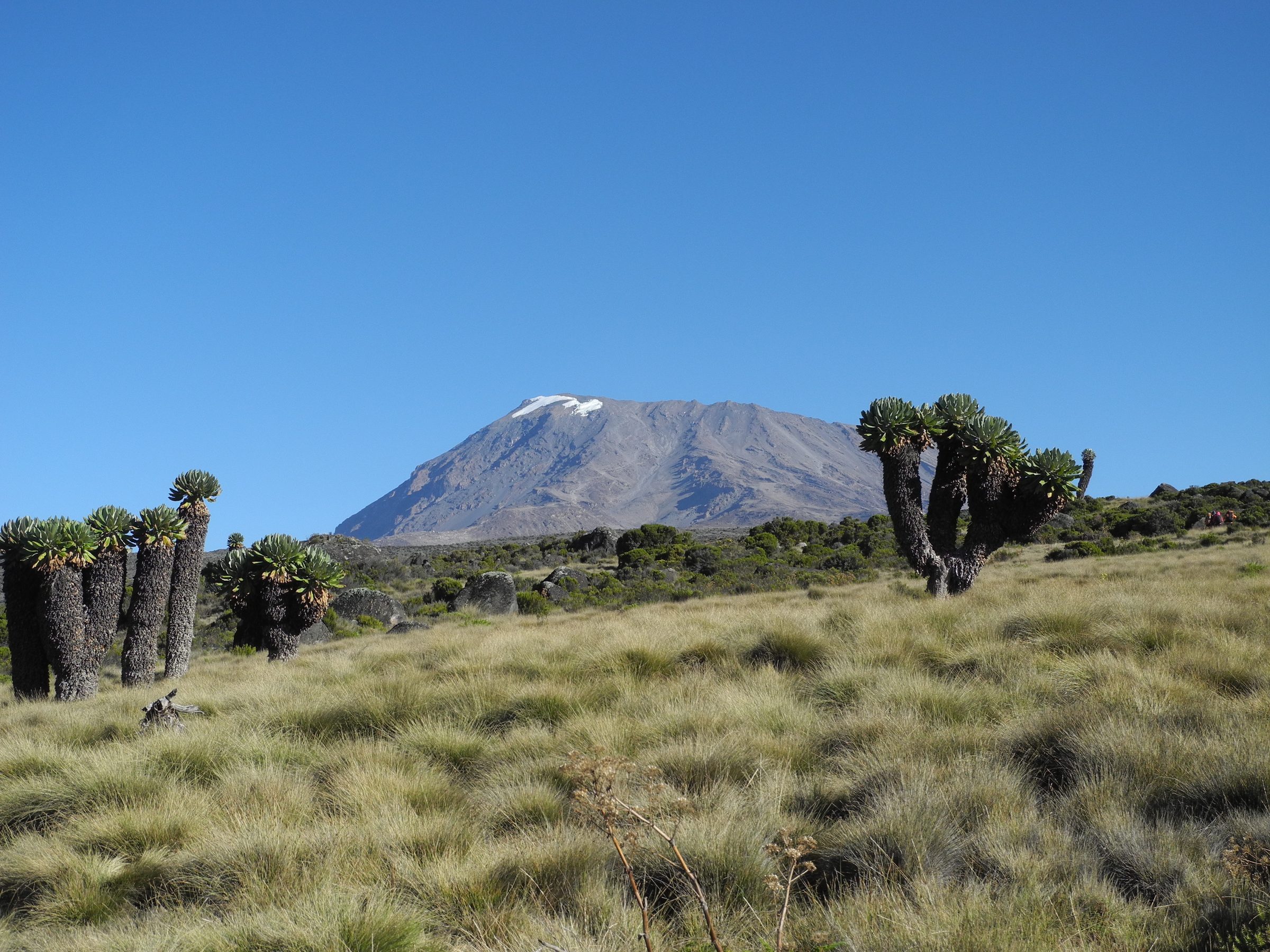 Sekimba Camp → Kikelewa Camp