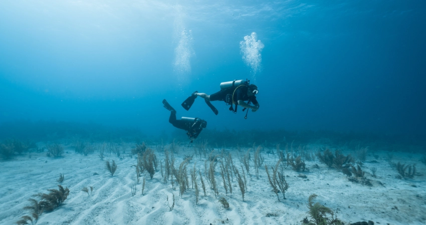 Stone Town, Sansibar – Historische Architektur mit verzierten Türen und Kopfsteinpflasterstraßen.