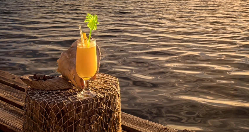 Besucher erkunden die duftenden Gewürzplantagen von Sansibar mit Vanille, Kakao und Pfeffer.