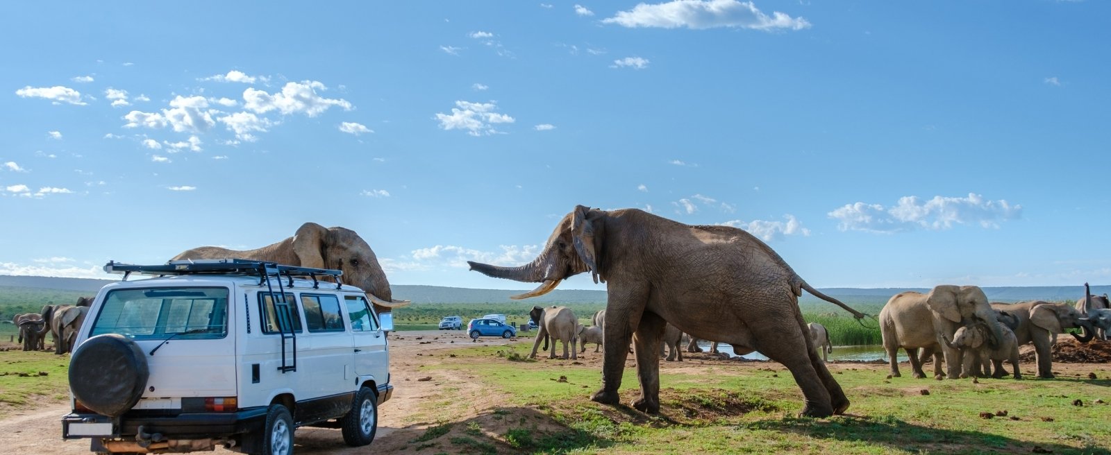 11 Tage Safari und Sansibar