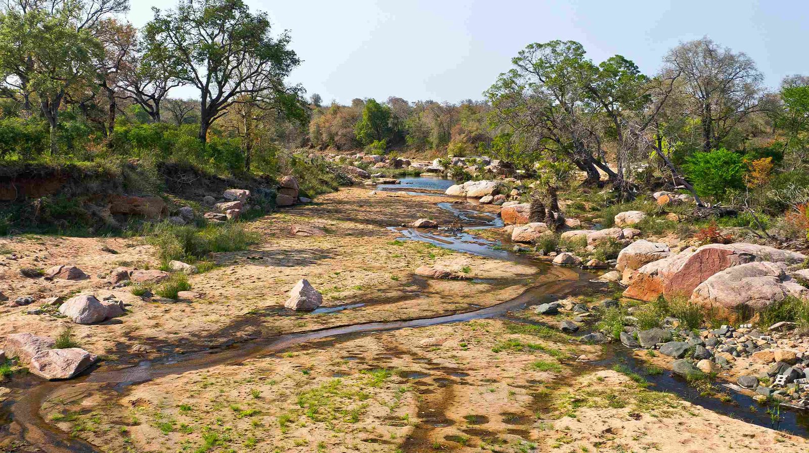 Kruger Nationalpark Big Five
