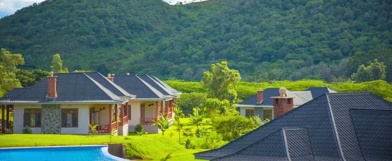 ngorongoro coffee lodge desktop
