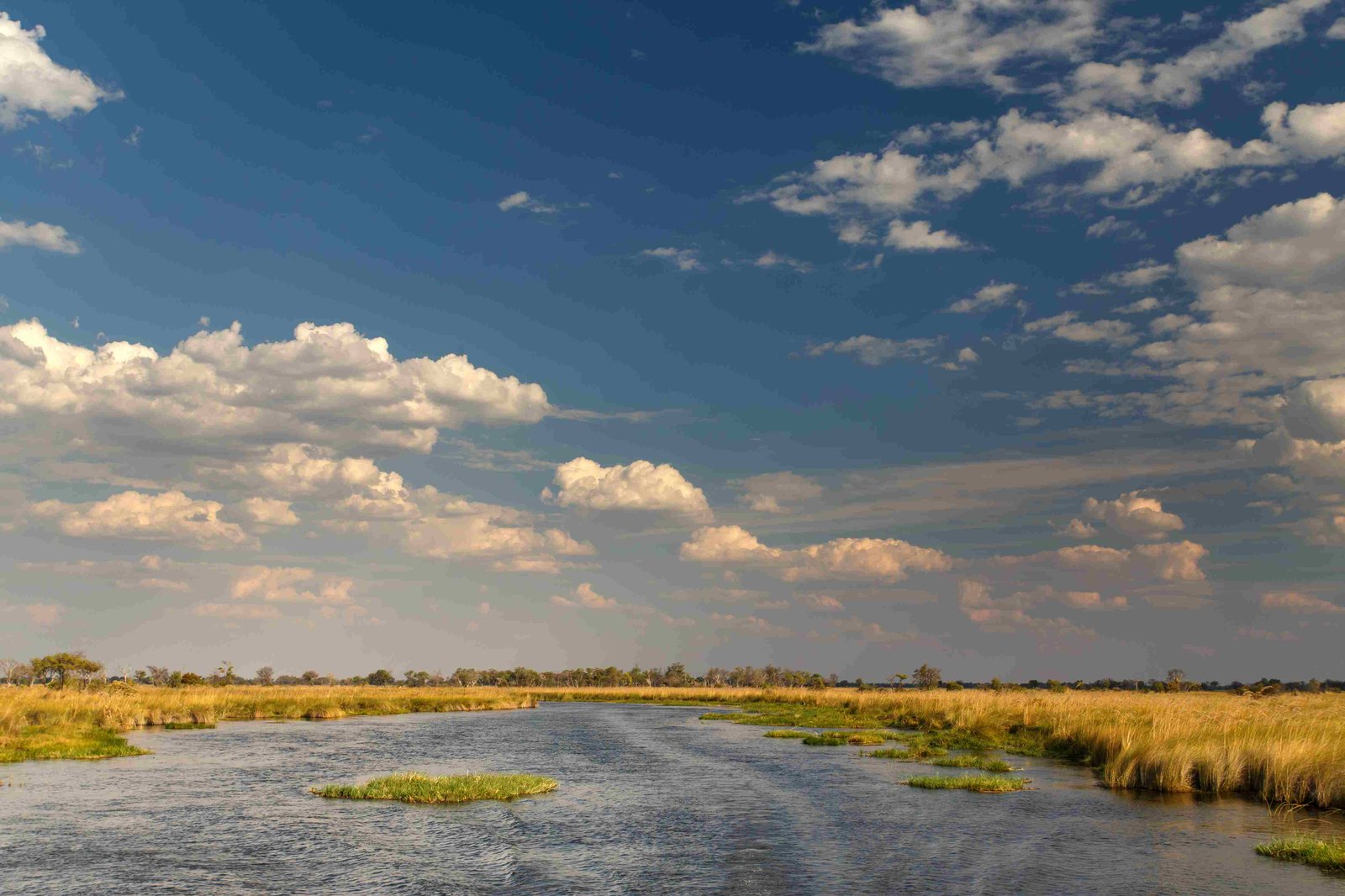Okavango Delta Big Five