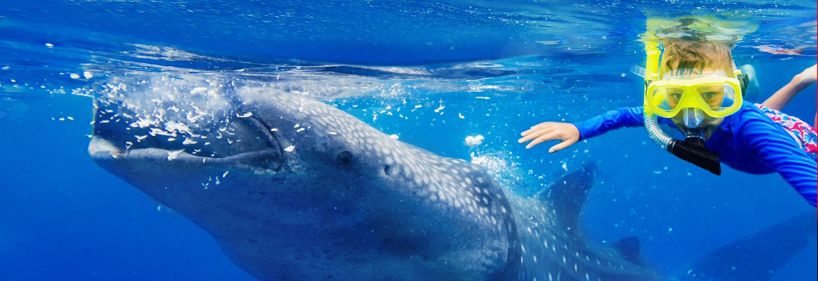 Rundflug-uber-den-Kilimandscharo