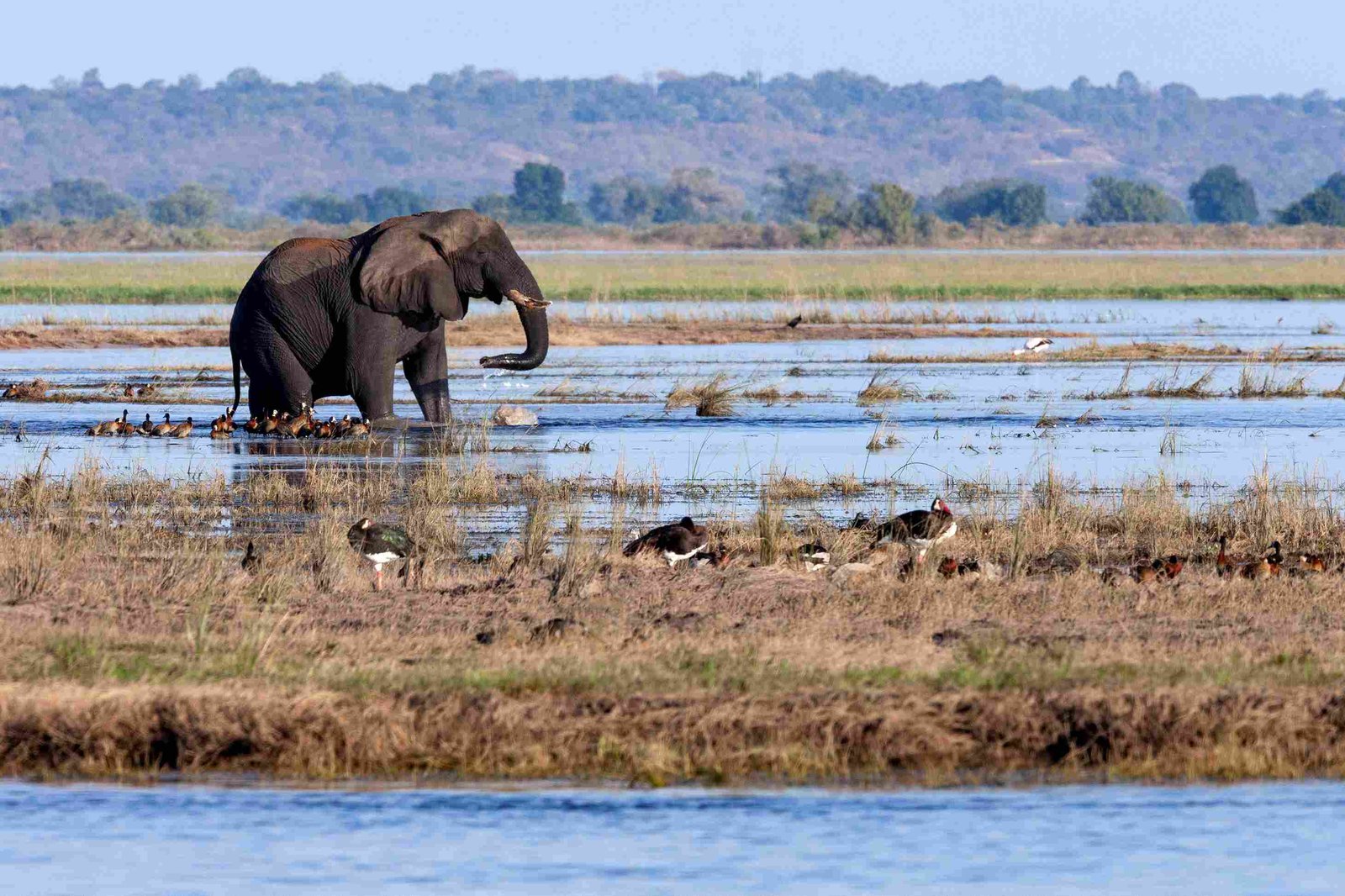 Luxus Sansibar Safari Urlaub