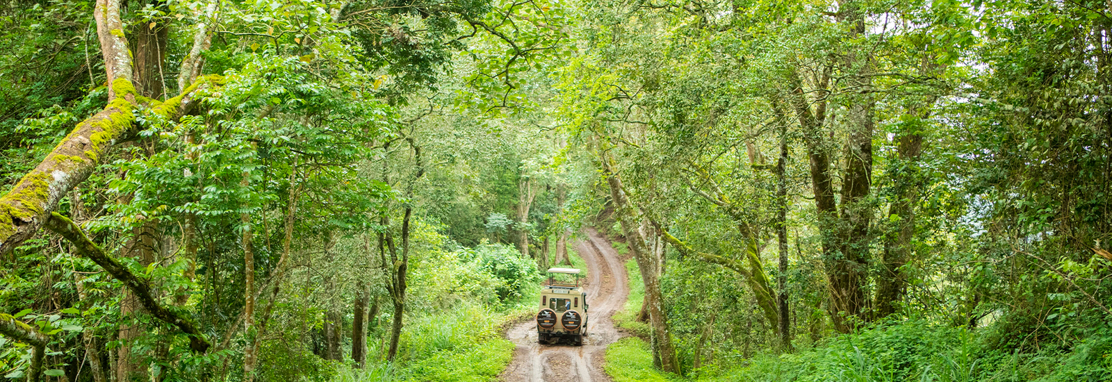 Arusha National Park Landscape