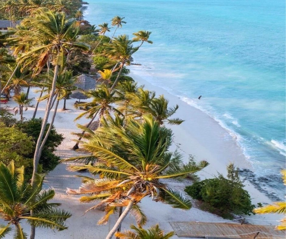 Blue Moon Resort mobile