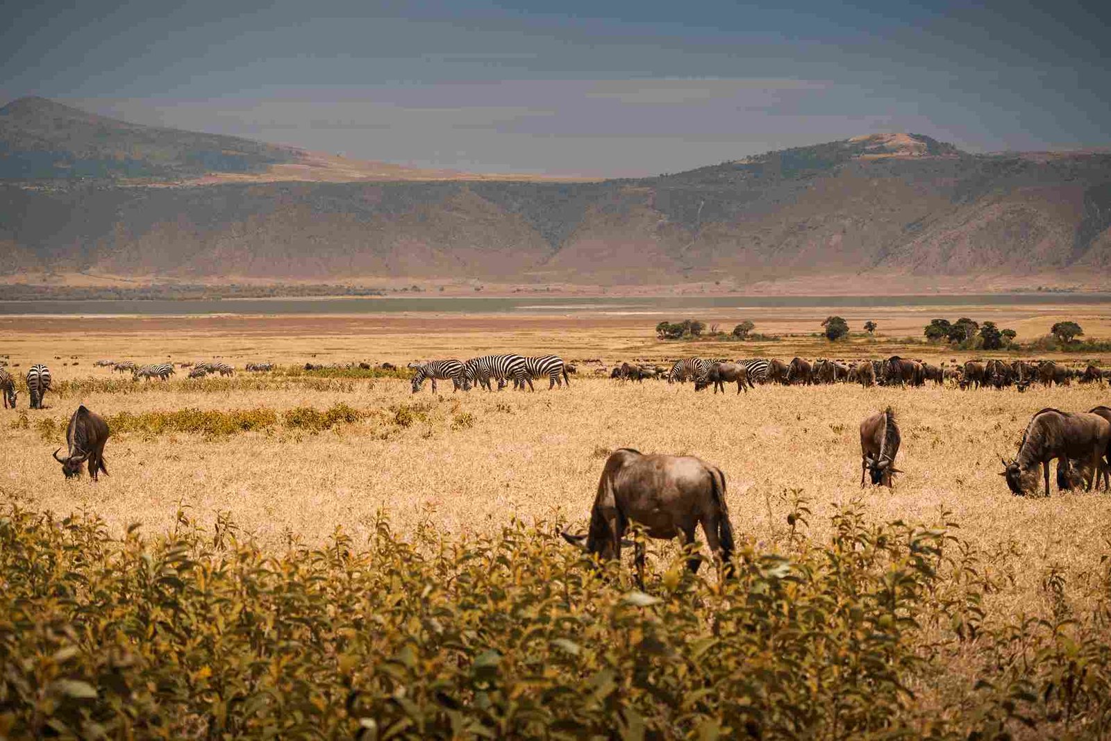 Ngorongoro Luftbild