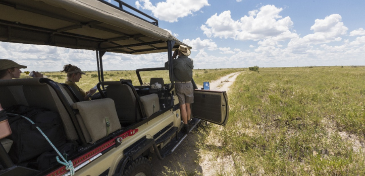 Tansania Safari Planen Tipps