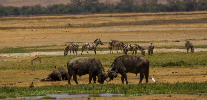 Tansania Visum Impfungen