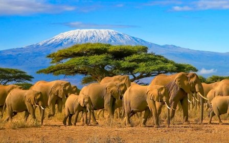 Sommer in Tansania – Sonne, Safari & Luxus pur