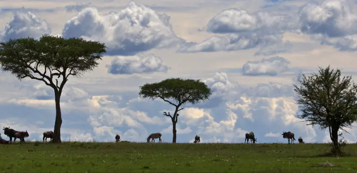 Reisen nach Sansibar