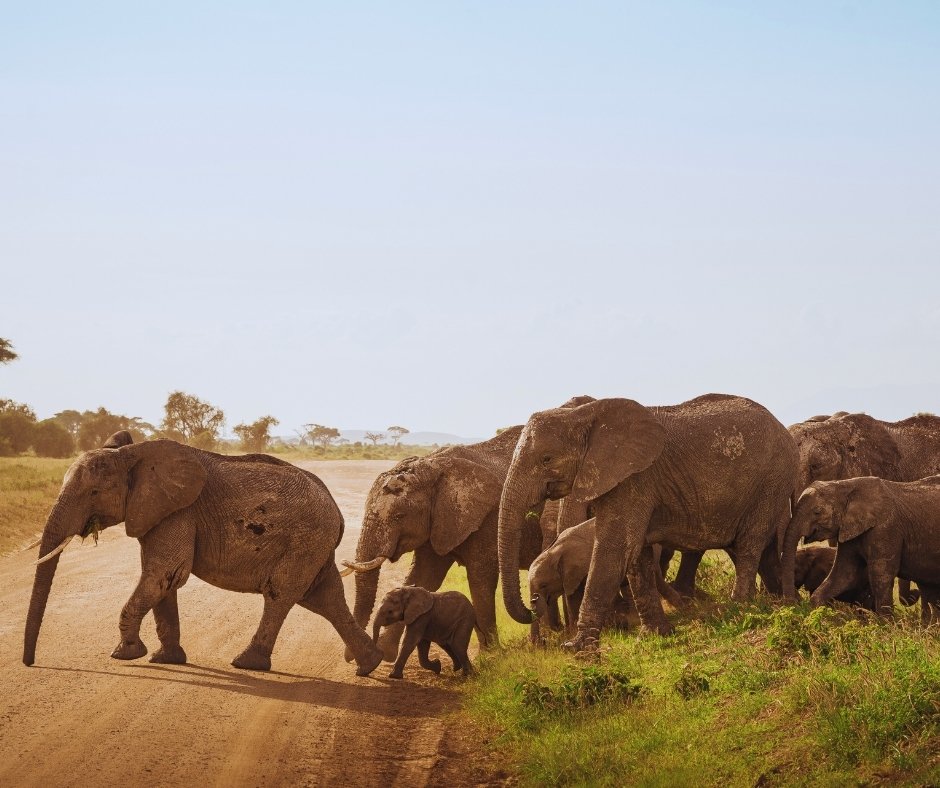 Sommer in Tansania – Sonne, Safari & Luxus pur