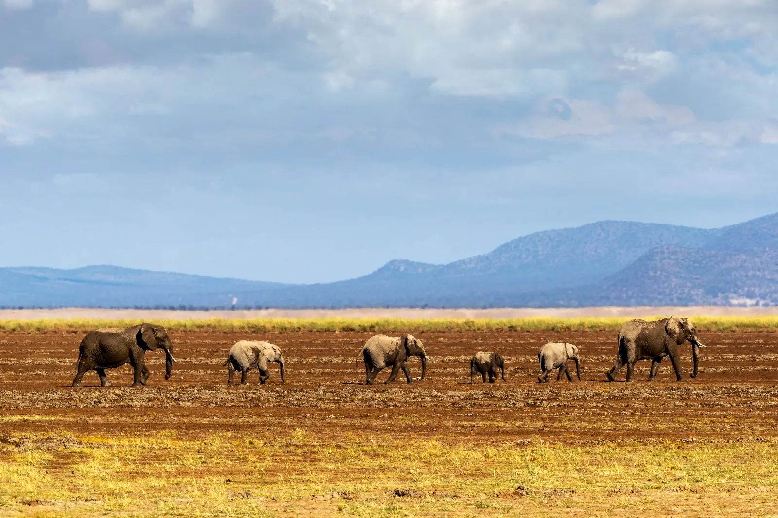 Amboseli Nationalpark