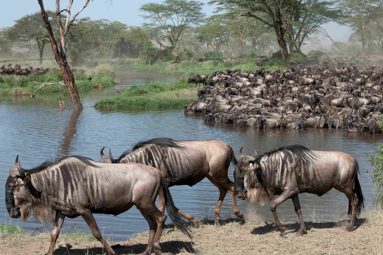 Tansania 2026 Erlebnisse