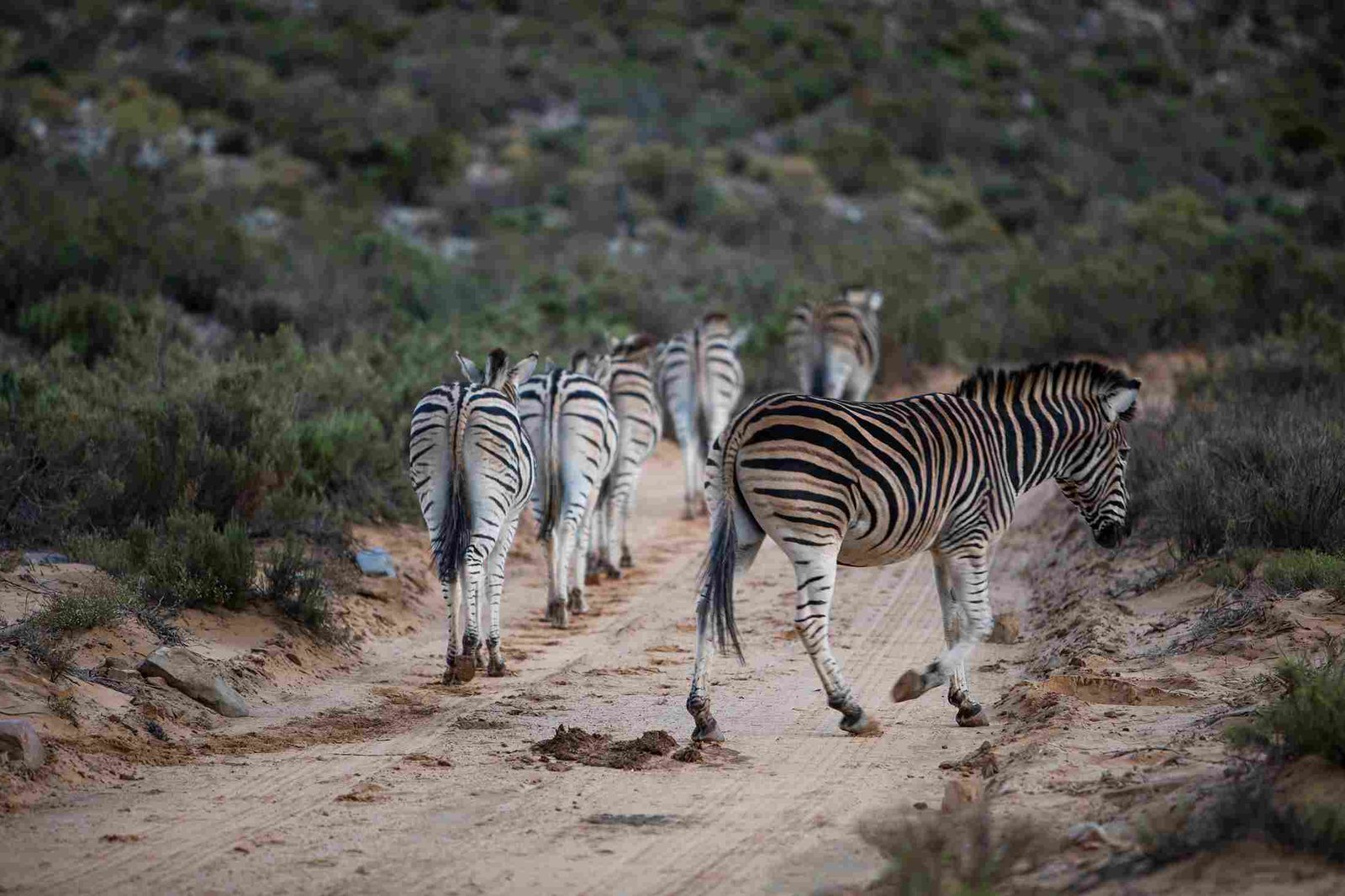 Unvergessliches Reiseerlebnis